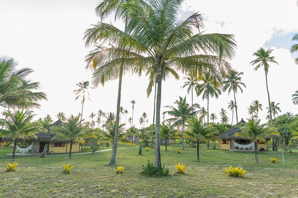 Jocotoka Village - Ponta Do Corumbau Exteriör bild